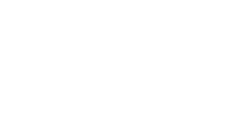 Euro Precision